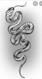 Pin By Hugo Andres On Flower Tattoos Snake Tattoo Design Snake Drawing Snake Tattoo