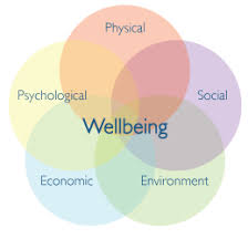 The wheel is divided into 8 categories that together make up the a close to fair representation of our life. Well Being Is Whole Person Wellness Advancing The Craft Of Health Wellness Coaching