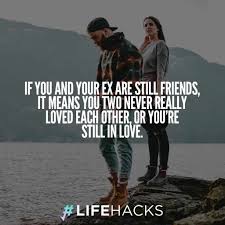 No matter what the reason, these falling in love quotes will certainly help you with the problem you're facing. 30 Funny Insulting Ex Boyfriend Quotes With Images