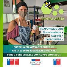 Check spelling or type a new query. Capital Abeja Emprende 2021 De Sercotec Inicia Sus Postulaciones Radio45sur Cl