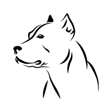 Pin On Animal