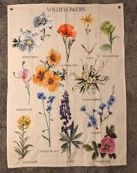 Botanical Wildflower Reference Chart Tapestry Wildflower Drawing Wildflower Paintings Wildflower Tattoo