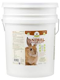 Bobbex-R Animal Repellent Quart Concentrated Spray | Bobbex