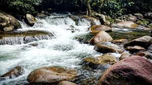 Lazada menjual sandal wanita gunung jempol terlengkap dengan varian produk terbanyak pada seluruh produk sandal wanita gunung jempol telah terakurasi dengan baik sehingga menawarkan. Air Riam Pacarek Desa Tanjung Kec Sajingan Besar Keb Sambas