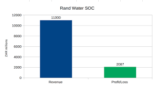 Rand water previously known as the rand water board is a south african water utility that supplies potable water to the gauteng province and other areas of the country and is the largest water utility in africa. The State Companies Running On Empty In Sa