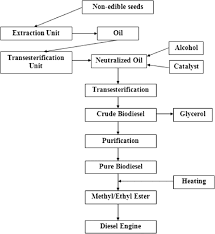 Flow Diagram For Biodiesel Production Transesterification