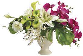 Lily Freesia And Hydrangea Arrangement Tropical Flower Arrangements Orchid Flower Arrangements Tropical Floral Arrangements