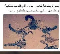 صورة مقربة لعائلة المض عقارب Fun Quotes Funny Funny Photo Memes Funny Arabic Quotes