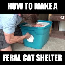 You may want to switch this out over time so it doesn't get too dirty or moldy. Cole Marmalade How To Make A Feral Cat Shelter Facebook