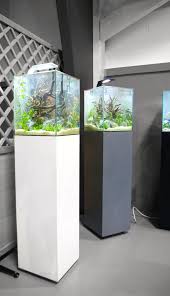 Aquariums Design 30l Goruntuler Ile Akvaryum Tasarim
