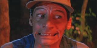 Coming home to a slow cooked roast to realize the crock-pot was never  plugged in : r/reactiongifs