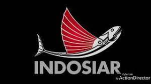 Hi hi hi…bener banget namanya ikan terbang, akan tetapi mari kita lihat lebih dalam ikan laut yang sering muncul dipembukaan salah satu stasiun televisi indonesia. Sejarah Indosiar Ikan Terbang Station Id 1996 2012 Youtube