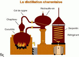 L Angoumois Dans Tous Ces Etats Alambic Charentais Alambic Maison Fabriquer Un Alambic