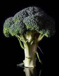 We did not find results for: Page 7 Royalty Free Raw Food Photos Free Download Pxfuel