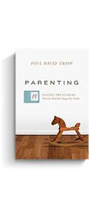 The best toddler parenting books help you understand and relate to your growing child. Parenting 14 Gospel Principles That Can Radically Change Your Family Tripp Paul David 9781433551932 Books Amazon Ca