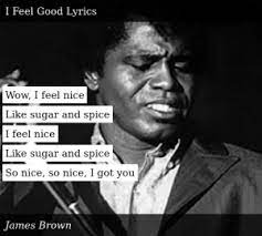 James Brown Sex Machine Today I Feel Good