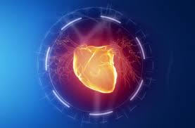Understanding The Dangers Of Left Ventricular Hypertrophy Health Essentials From Cleveland Clinic