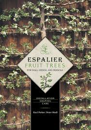 Espalier trees work well as a hedge or yard break. Espalier Fruit Trees For Wall Hedge And Pergola Installation Shaping Care Pieber Karl Modl Peter 8601416317922 Amazon Com Books