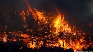 Nahe der beliebten urlaubsregion antalya in der türkei ist ein heftiger waldbrand entfacht worden. Iqqt6hzv2ivcmm