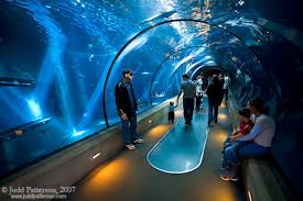 Oregon Coast Aquarium Coupons Home Facebook