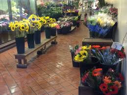 The preferred city may not be the city in which the zip is located. Compo Farm Flowers 392 Post Rd E Westport Ct 06880 Usa