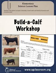 Lesson Plan And Activity Sheet For Students To Discover Traits Of Beef Cat Animal Science Lessons Agriculture Education Lessons Agriculture Education Classroom