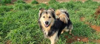 It's been so busy...