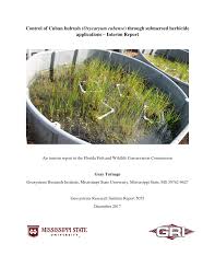 Image result for Oxycaryum