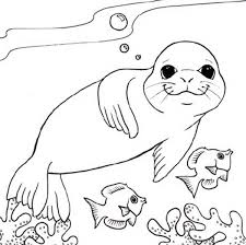 Free fur seal coloring pages to print for kids. 40 Seal Coloring Pages Ideas Coloring Pages Coloring Pictures Online Coloring