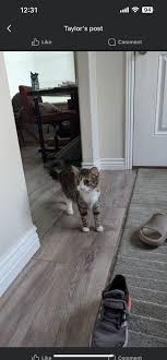 🎉🎉🎉 Sharing post