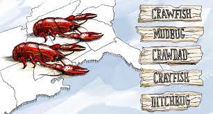 A small animal that lives in rivers and is similar to a lobster, or its flesh eaten as food 2. Crawfish What S In A Name Crayfish Ditchbug Southern Kitchen