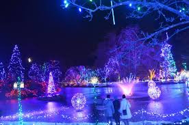 Festival Of Lights At Vandusen Garden Festival Lights Christmas Light Displays Lights