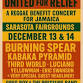 United for Relief - A Reggae Benefit Concert for event image