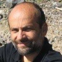 PDF) Competition for zinc binding in the host-pathogen interaction