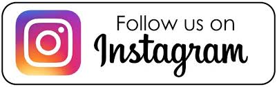 Spring Acupuncture's Instagram Page Link