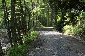 Maybe you would like to learn more about one of these? Kiesweg In Den Waldern Bei Camp Creek West Virginia Mit Baumen Lizenzfreie Fotos Bilder Und Stock Fotografie Image 22116326