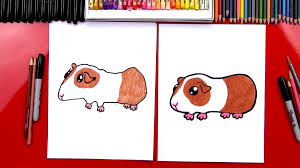 However many breeds are now domesticated and make wonderful pets in the western world. How To Draw A Guinea Pig Art For Kids Hub