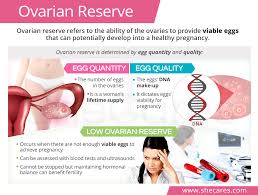 Maybe you would like to learn more about one of these? Ovarian Reserve Female Egg Count And Quality Shecares