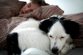 Nyligen sålde hon en del av sitt bianca ingrosso. Ronja Stromvall Sevendays