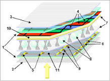 The manufacturing processes of flat panel display