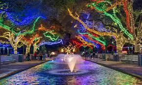 Why You Should Visit Zoo Lights At The Houston Zoo
