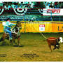 Profile Picture of Brian Fulton - Fulton Ranch Performance Horseson Google