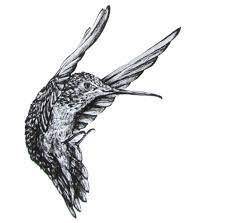 Sharon is offering you a free hummingbird pattern with color photo, illustrations, and complete instructions for pen & ink with oil rouging. Hummingbird Ink Drawing Hummingbird Art Detailed Hummingbird Etsy