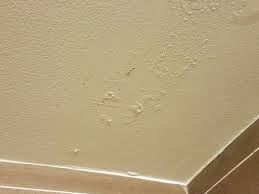 If your home or building has had water damage to its drywall or wallpaper, there is a high probability that this toxic black mold is present. Mold In Drywall Ceiling Picture Of Doubletree Suites By Hilton Orlando Disney Springs Area Tripadvisor