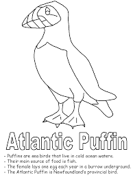 All images found here are believed to be in the public domain. Puffin Coloring Pages Coloring Home