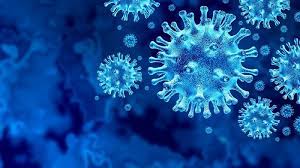 Kebanyakan virus corona menyebar seperti virus lain pada umumnya, melalui: Ciri Penyebab Gejala Virus Corona Di Indonesia