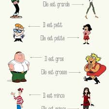 Je Suis Petit Et Mince Pour Le Moment Et Toi Regram Via Frenchacking French Grammar Learn French French