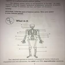 Name one amino acid that has only one codon. Directions Label The Parts Of Skeletal System Write Your Answer In Your Science Journal Brainly Ph