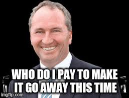Save and share your meme collection! Barnaby Steemit