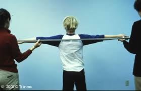Image result for Arm Span